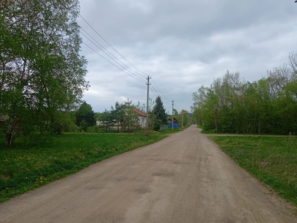 Выборы в Черинговском округе