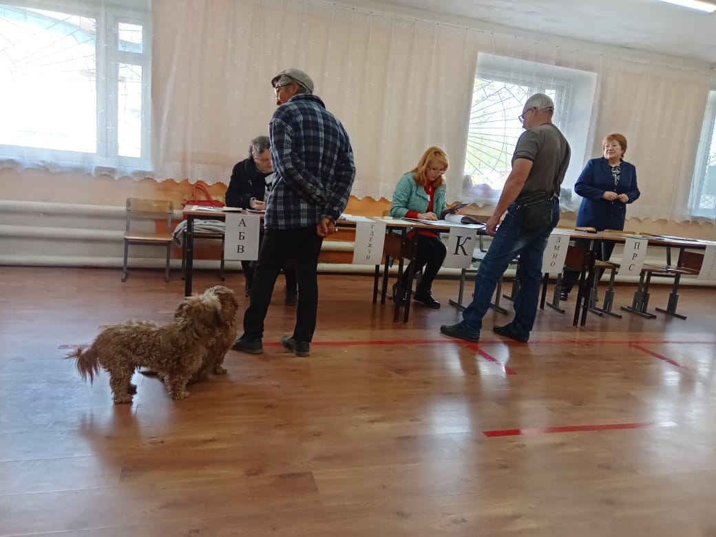 Выборы в Черинговском округе