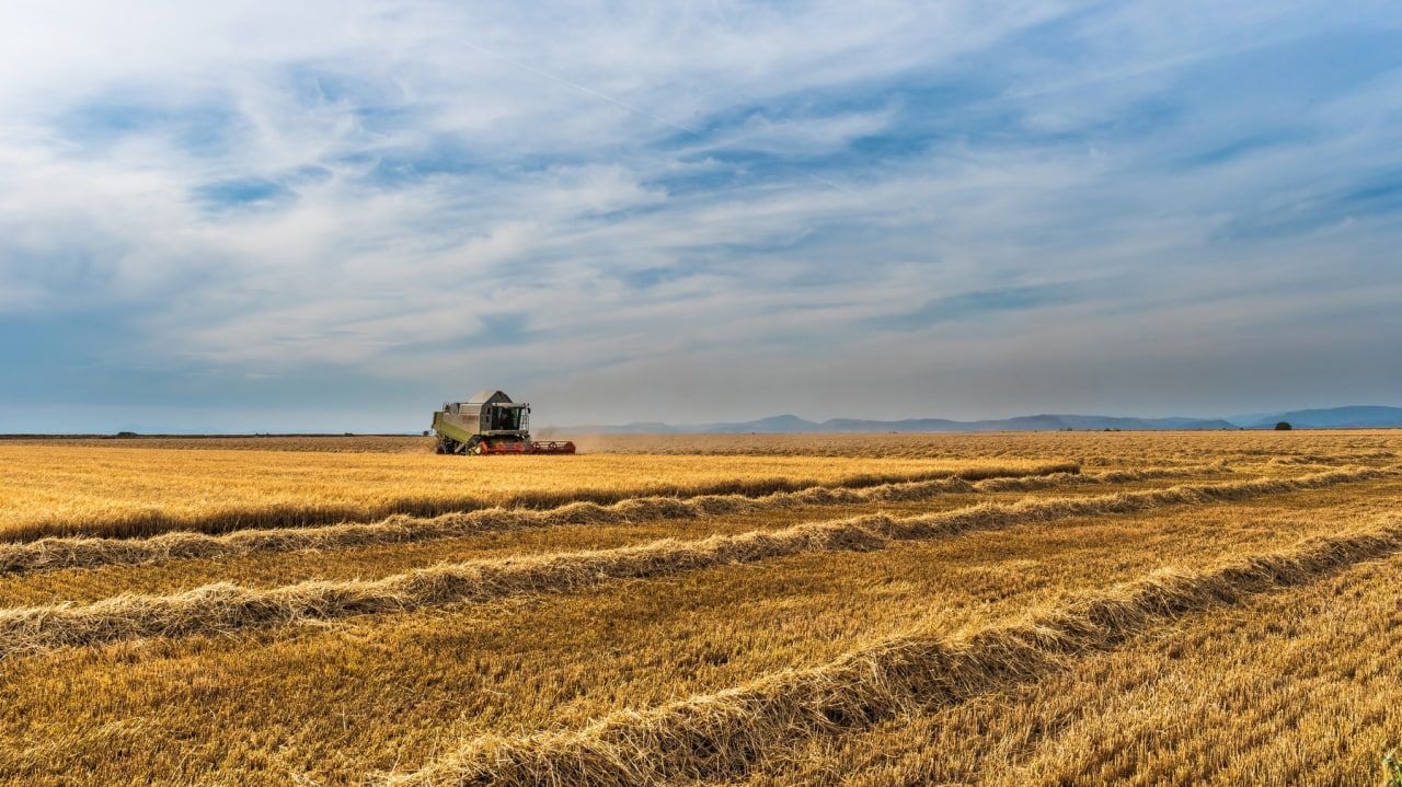 Поставки сельхозпродукции из России в страны АТР за 2022 год выросли на 10%