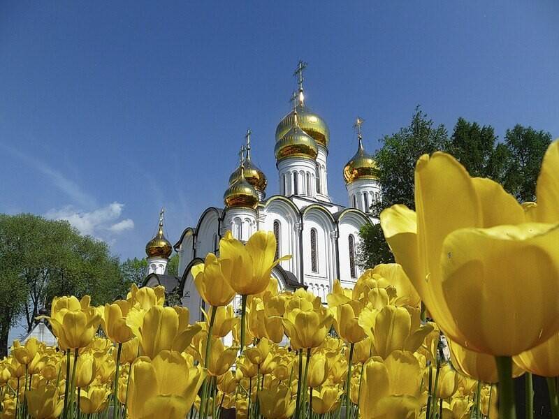 Православные верующие 23 мая 2023 года отмечают День апостола Симона Зилота