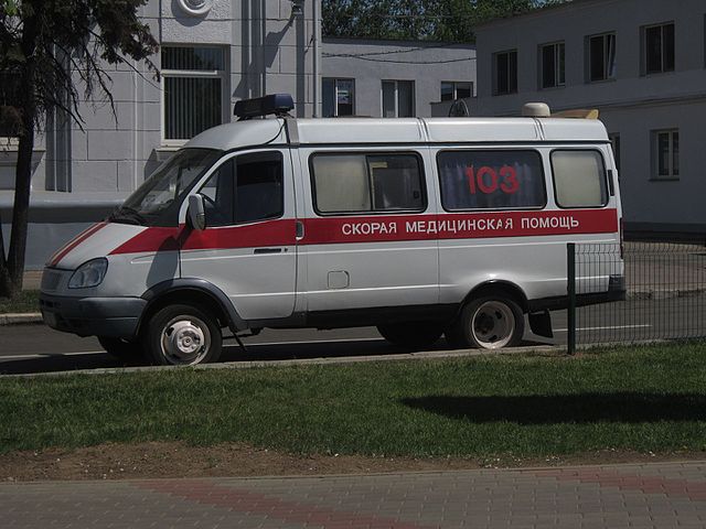 В Екатеринбурге на женщину напала стая бродячих собак