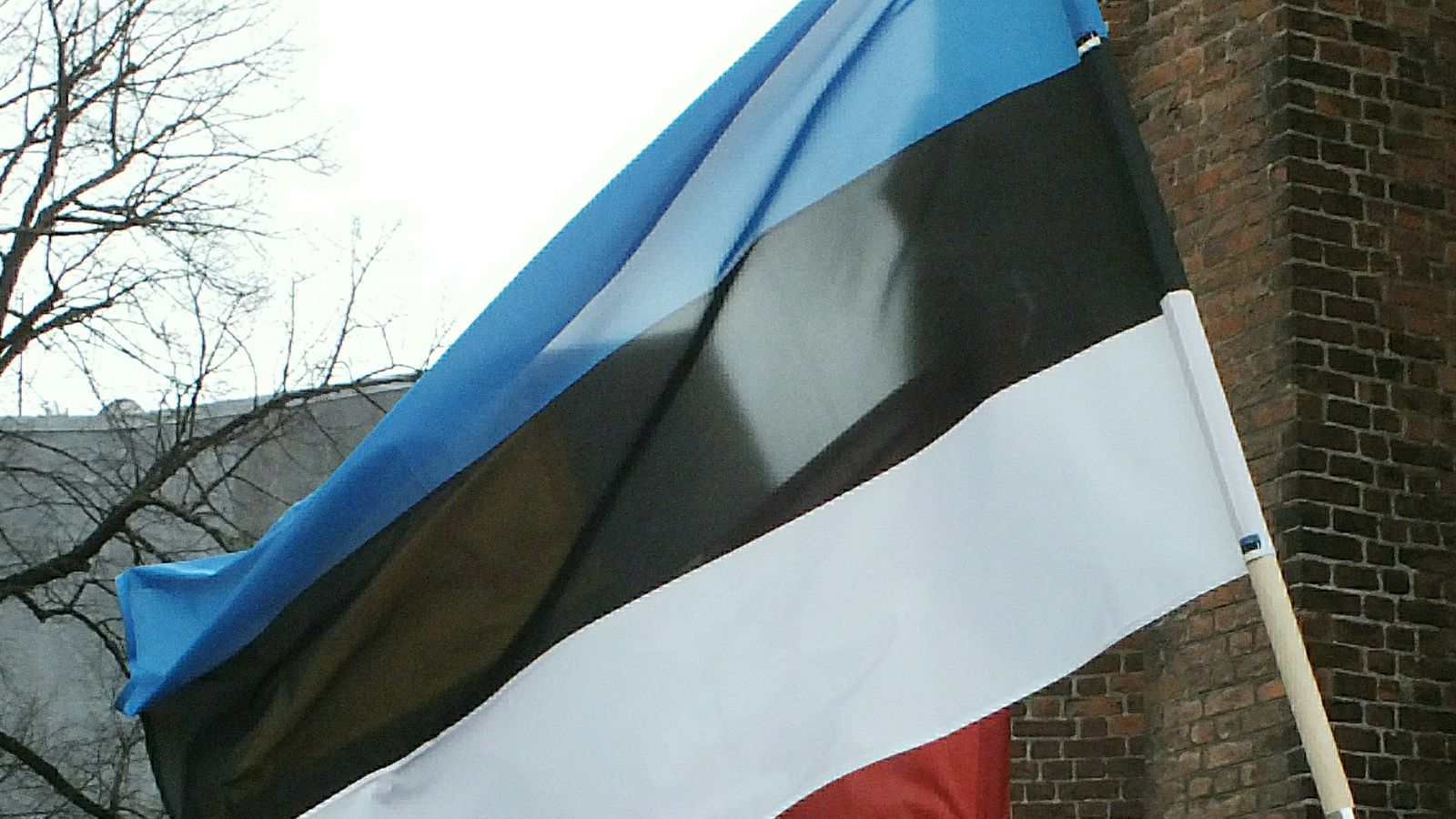 В минобороны Эстонии заявили о готовности увеличить численность армии вдвое в случае мобилизации