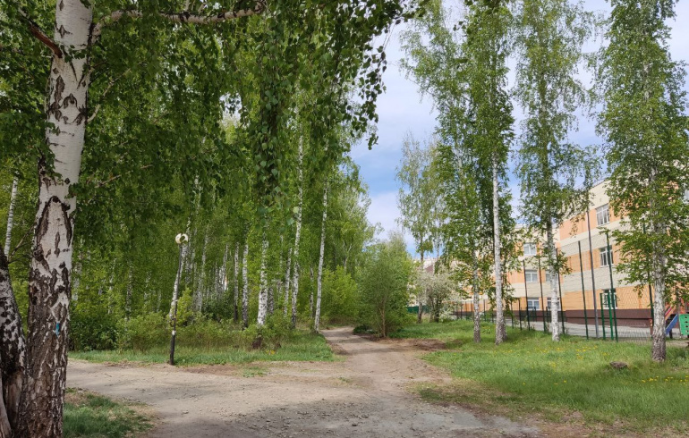 В  «Парковом» появятся новые сквер и экотропа