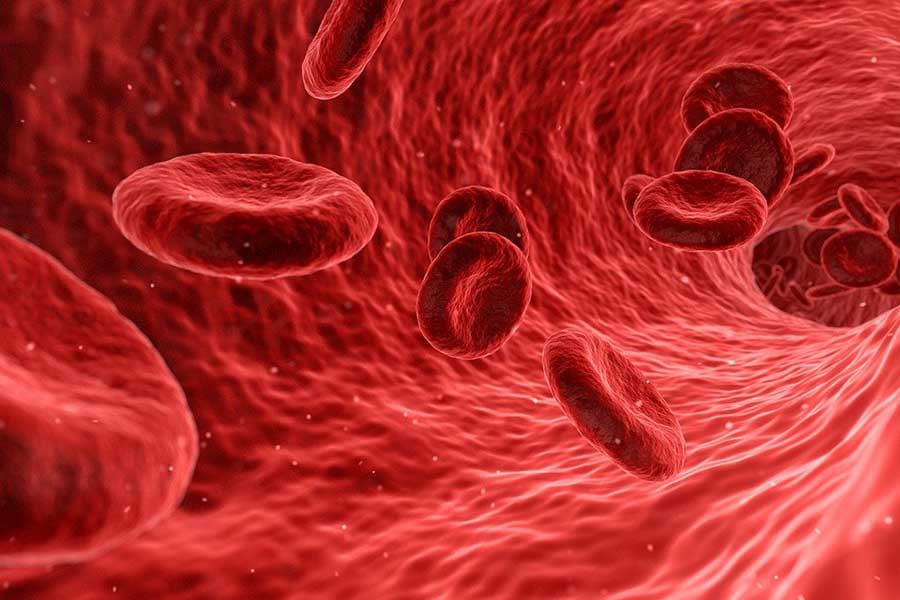 Cell Host & Microbe: кишечные бактерии спасают от закупорки артерий