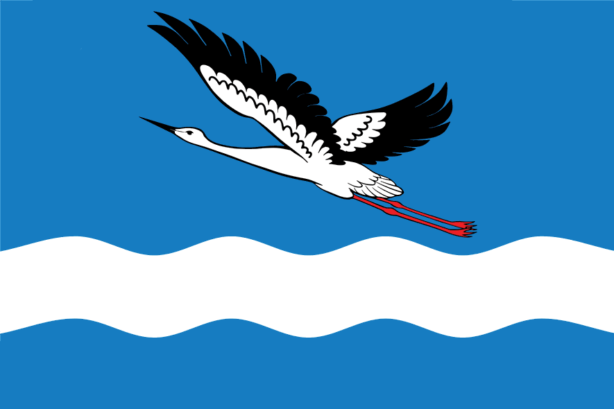 Флаг г. Амурск