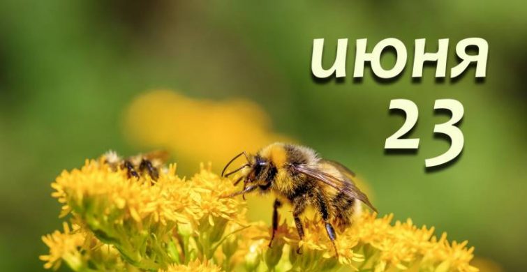 Простые и церковные праздники, которые отмечают 23 июня 2023 года 