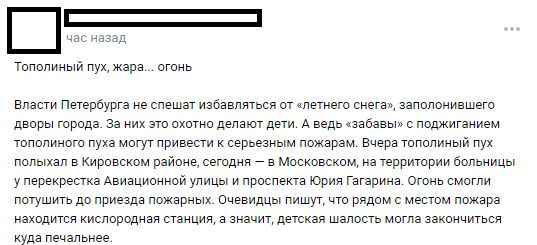 Петербуржцы жалуются на невыносимую ситуацию с тополиным пухом: «Может власти попробуют пошевелиться?»