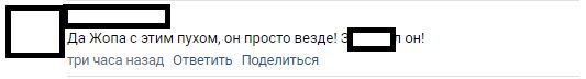 Петербуржцы жалуются на невыносимую ситуацию с тополиным пухом: «Может власти попробуют пошевелиться?»