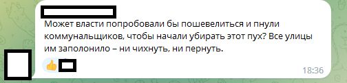Петербуржцы жалуются на невыносимую ситуацию с тополиным пухом: «Может власти попробуют пошевелиться?»