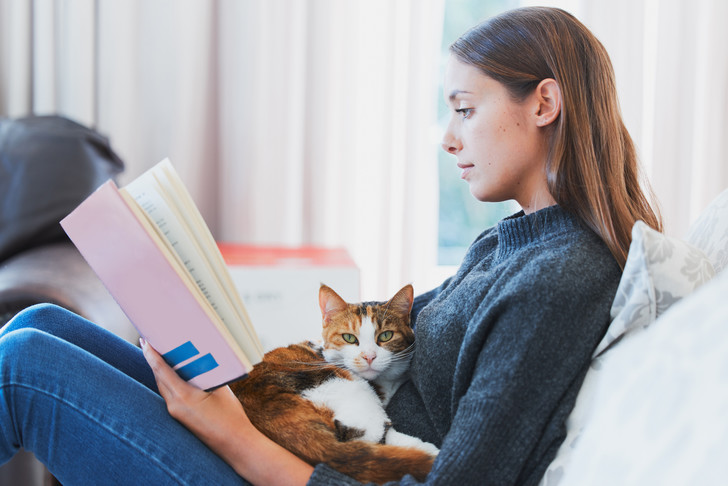 Кошка ложится на больное место: приметы о здоровье, у которых есть научные корни