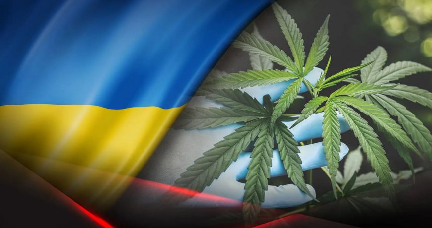 Зеленский настаивает на принятии закона о легализации марихуаны