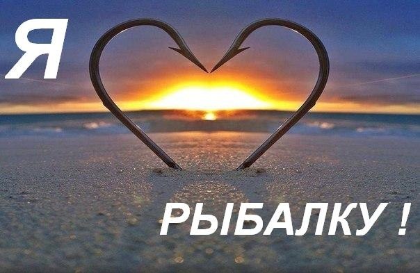 ÐÐ°ÑÑÐ¸Ð½ÐºÐ¸ Ð¿Ð¾ Ð·Ð°Ð¿ÑÐ¾ÑÑ Ð´ÐµÐ½Ñ ÑÑÐ±Ð°ÐºÐ° ÐºÐ°ÑÑÐ¸Ð½ÐºÐ¸ Ð»Ð¸Ð²Ð¸Ð½ÑÐµÑÐ½ÐµÑ