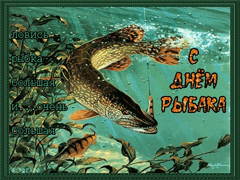 День рыбака 2018: картинки, короткие поздравления, СМС, душевные стихи