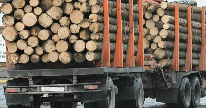 Изменения в системе ЛесЕГАИС: ужесточение правил перевозки леса с 25 июля
