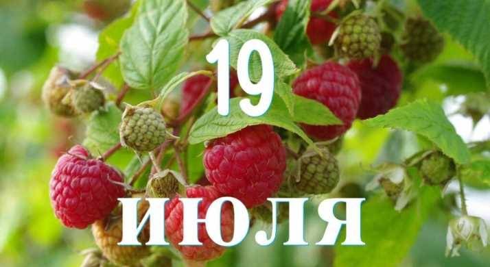 Праздничный калейдоскоп: простые и церковные торжества 19 июля 2023 года 