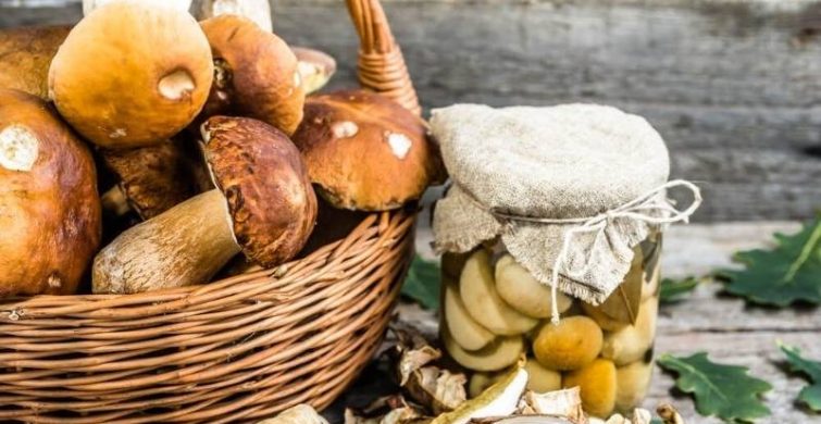 Вкусные рецепты и лучшие способы заготовить грибы на зиму 