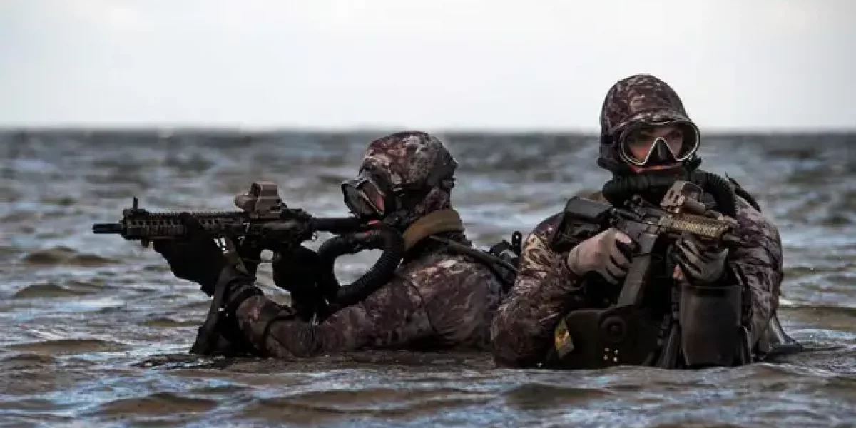 НАТО репетирует высадку «морских котиков» в Крыму — СМИ