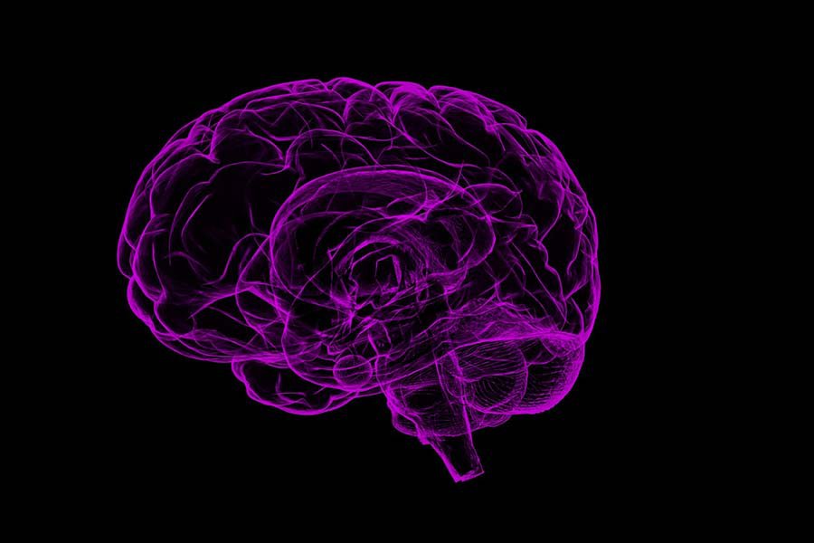 Nature: генам обучения и памяти 650 миллионов лет
