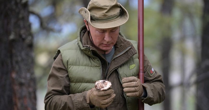 Президент любит свою страну: в Кремле рассказали о любви Путина к турпоходам