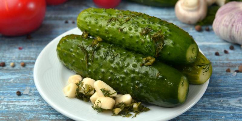 Рецепты вкусных малосольных огурцов 
