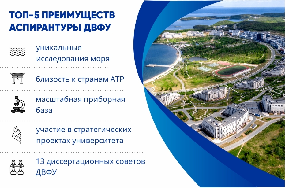 Плюсы обучения