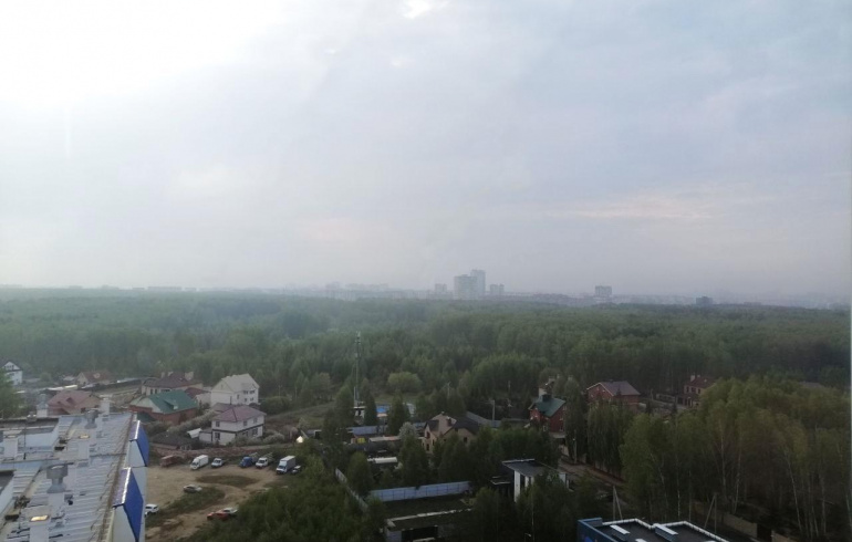 В Челябинскую область из соседних регионов вновь пришла дымка от лесных пожаров