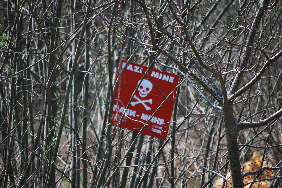 Дуглас Макгрегор заявил о страшной ошибке Киева, допущенной в контрнаступлении ВСУ