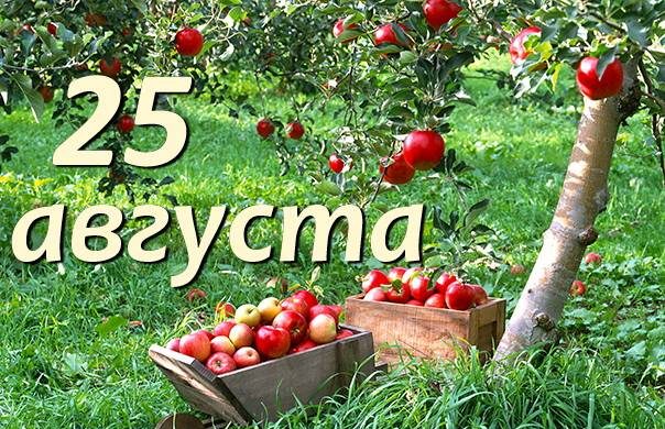 Значимые события 25 августа 2023 года: простые и церковные праздники 