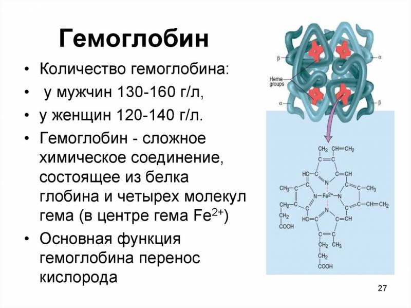 гемоглобин