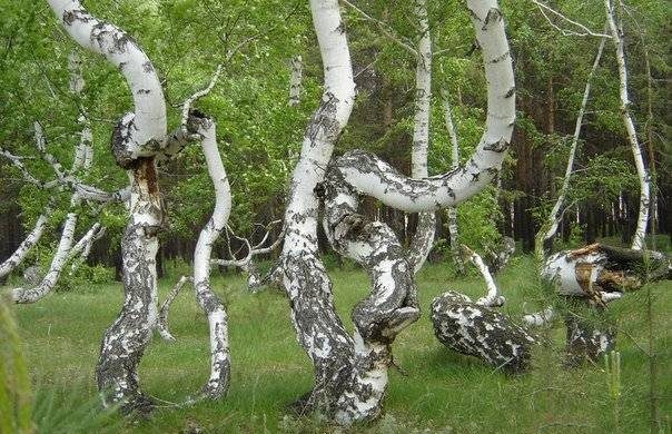 Нестандартный туризм: знаменитые мистические места в России 