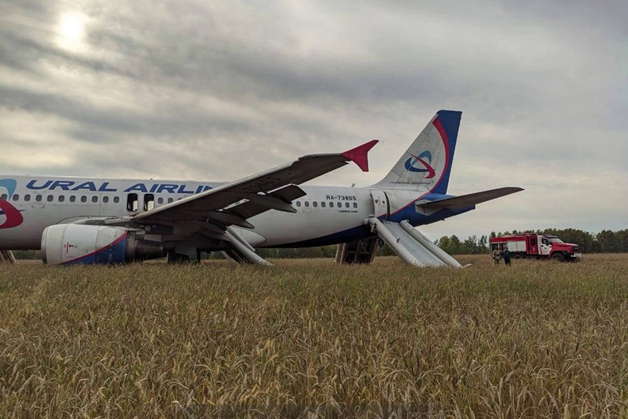 Летевший из Сочи в Омск самолет экстренно сел на пшеничном поле под Новосибирском