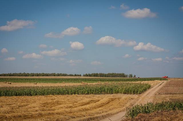 праздник