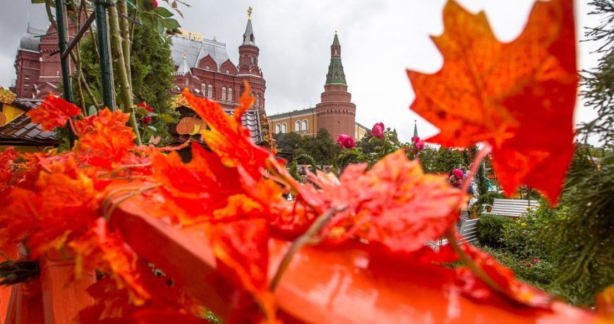 Новые штрафы и законы с 1 сентября 2023 года: что ждет россиян