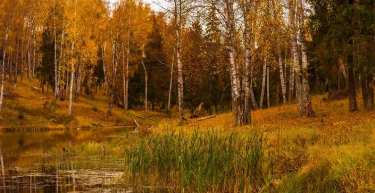 Открытки 22 сентября на попразднство Рождества Пресвятой Богородицы для родных и близких 