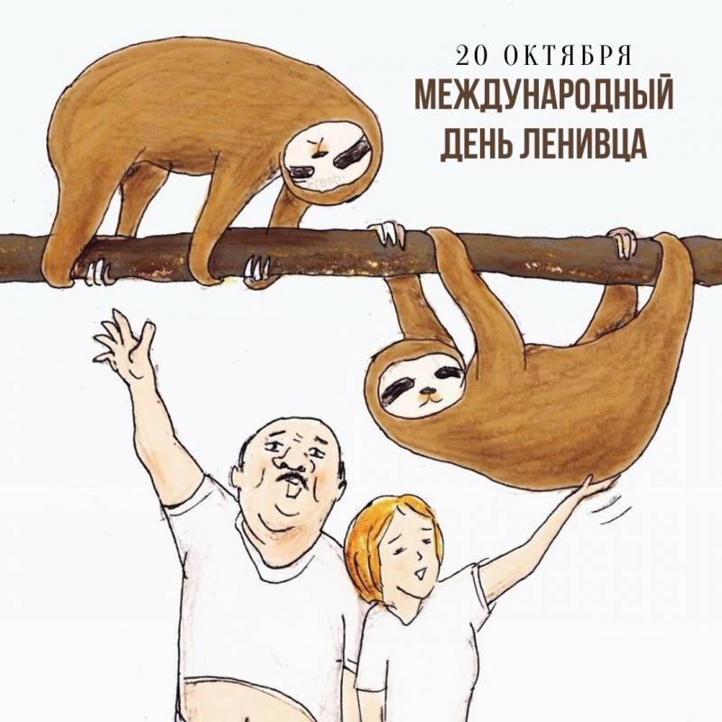 Международный день ленивца: открытки, поздравления