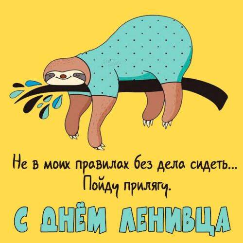 Международный день ленивца: открытки, поздравления