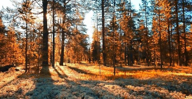 Что можно и нельзя делать по народным приметам в праздники 11 октября 2023 года 