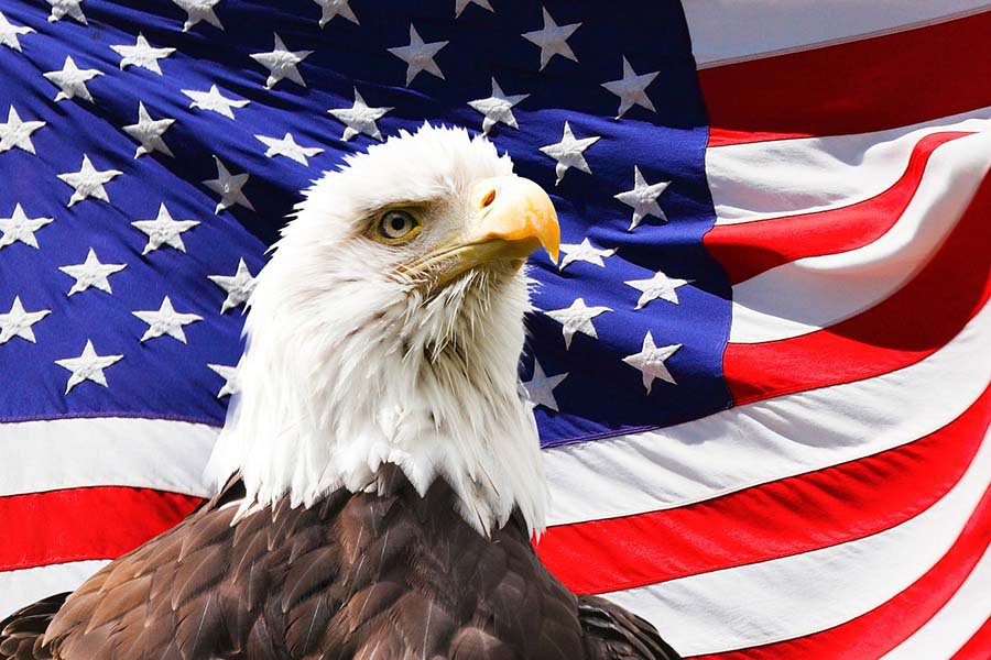 «Разумные инвестиции» в войну не сделают США богаче и сильнее