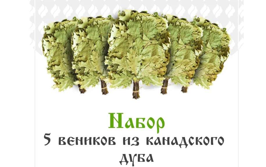 Веник для бани и сауны Канадский дуб