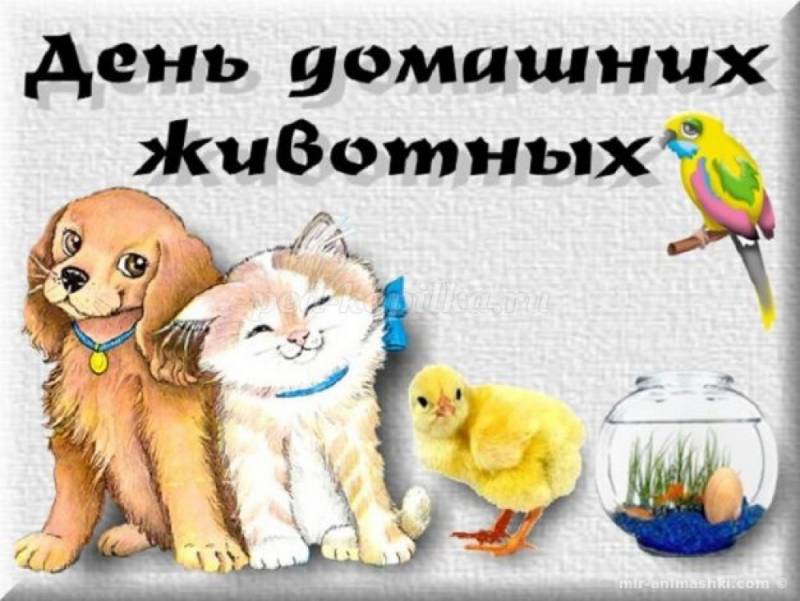 праздник