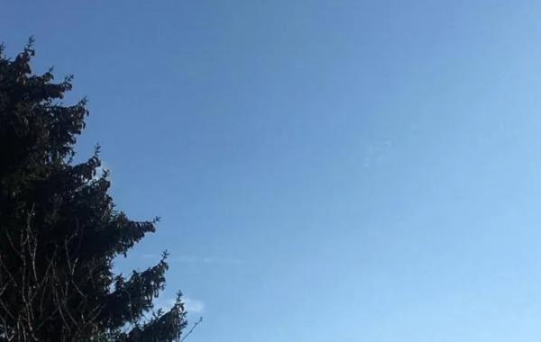 Губернатор Ростовской области объяснил звуки взрывов, которые слышали в Таганроге