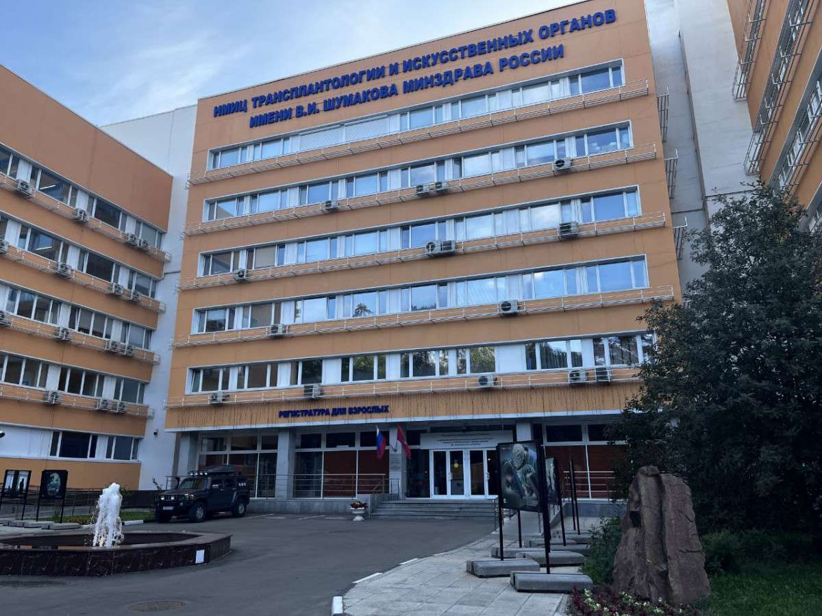 трансплантация