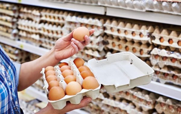 ФАС предложила продавцам ограничить наценки на куриные яйца до 5% » Новости России и мира 24 часа в сутки — N4K.RU